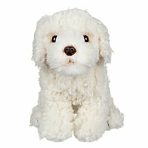 Labradoodle Dog