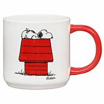 Allergic To Mornings Boxed Mug