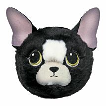 Doodle Chihuahua Beanie Bouncer