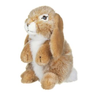 Brown Sitting Lop Eared Rabbit