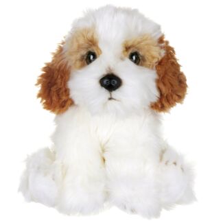 Large Toffee & White Doodle Dog