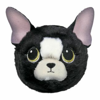 Doodle Chihuahua Beanie Bouncer