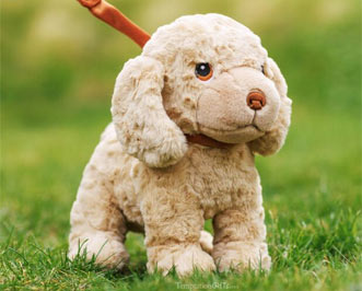 Browse Keeleco Sustainable Toys