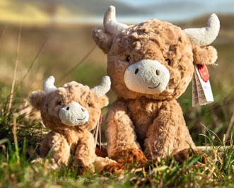 Keel Toys Keeleco Highland Cows