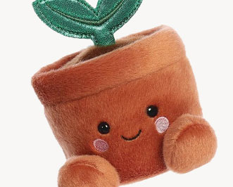 Palm Pals Plants & Gardening