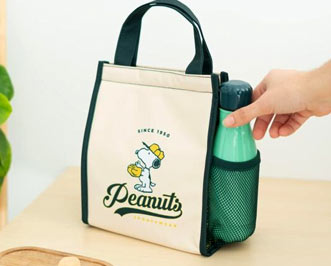 Peanuts Accessories