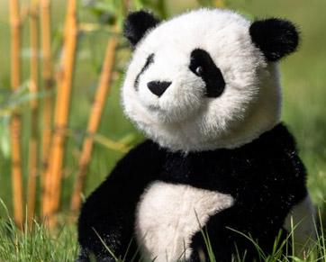Adorable animal plush toys for kids