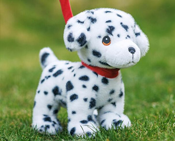 Soft toy cats and dogs for children