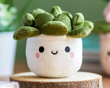 Charming plant plush toys including cuddly cacti